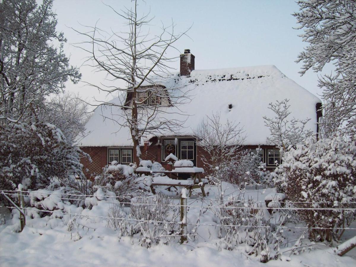 Anton'S Erfje Villa Dalfsen Kültér fotó